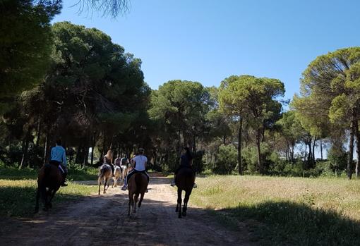 Esta zona ofrece unas rutas ideales para pasear a caballo