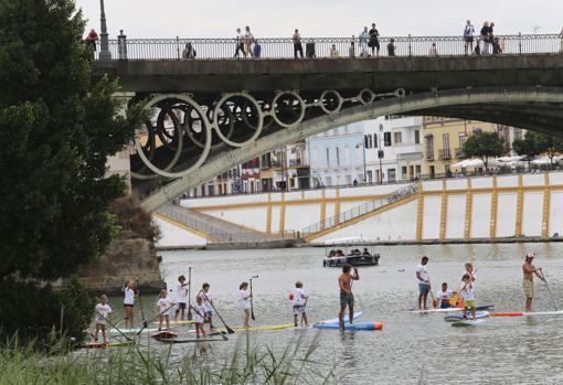 Un grupo de niños aprenden a practicar Paddle Surf en el río