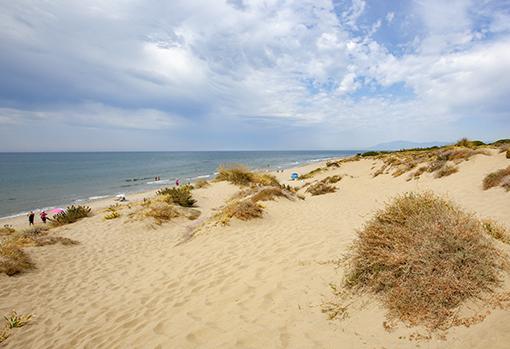 Playa de Artola