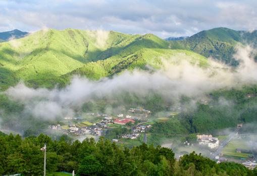 Paisaje de la región de Wakayama donde está el Kumano Kodo, con los característicos jirones de niebla sobre las montañas