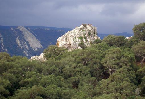 Vistas desde el Parque Natural de los Alcornocales