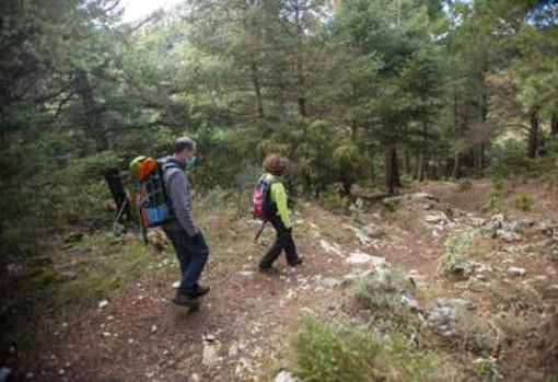 Senderistas en el Parque Nacional de la Sierra de las Nieves