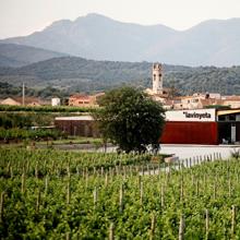 Celler La Vinyeta, en Mollet de Peralada