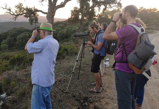 Varios participantes en una de las salidas para ver la berrea en pleno parque natural