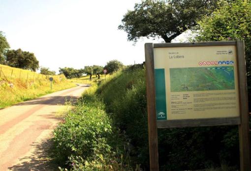 Ruta de La Lobera en Sevilla