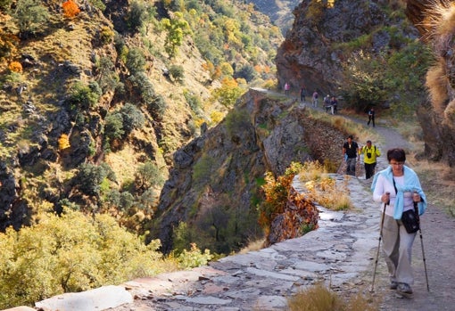 Ruta de la Vereda de la Estrella en Sierra Nevada