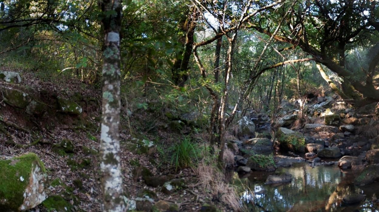 Una de las bellas imágenes que nos deja el sendero de Valdeinfierno