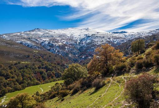 Siete bosques asombrosos de Andalucía que parecen encantados