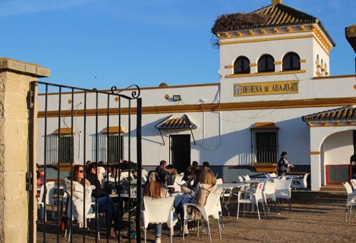 En la Dehesa de Abajo se puede disfrutar de un agradable almuerzo al aire libre