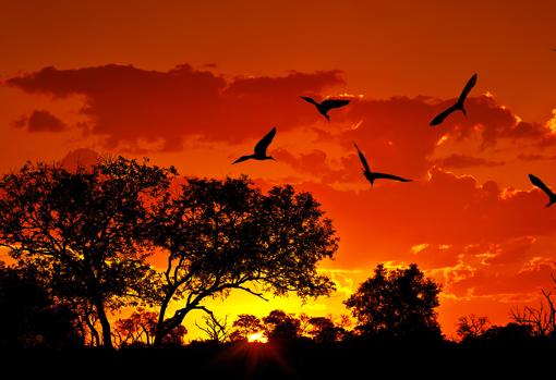 Parque Nacional Kruger