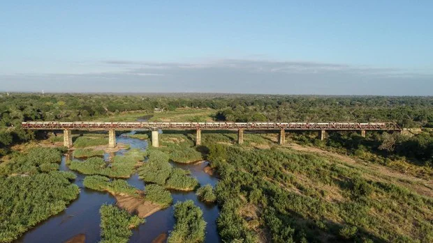El tren-hotel más especial: en un puente sobre la vida salvaje del parque Kruger
