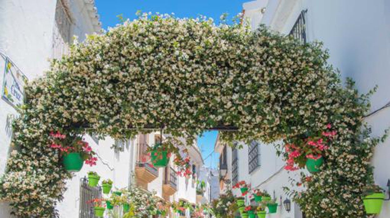 Decoración floral en las calles de Estepona