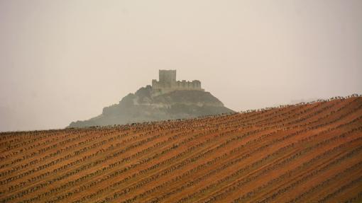 Castillo de Peñafiel, Valladolid, desde los viñedos de Tr3smano