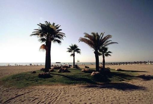 Playa de los Álamos