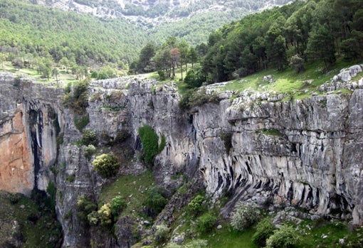 La naturaleza en todo su esplendor hace su aparición en Quesada