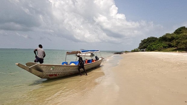 Un santuario de la biodiversidad, desconocido y salvaje, en África
