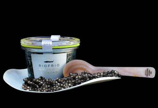 El caviar que se elabora en la sierra de Loja tiene fama en todo el mundo